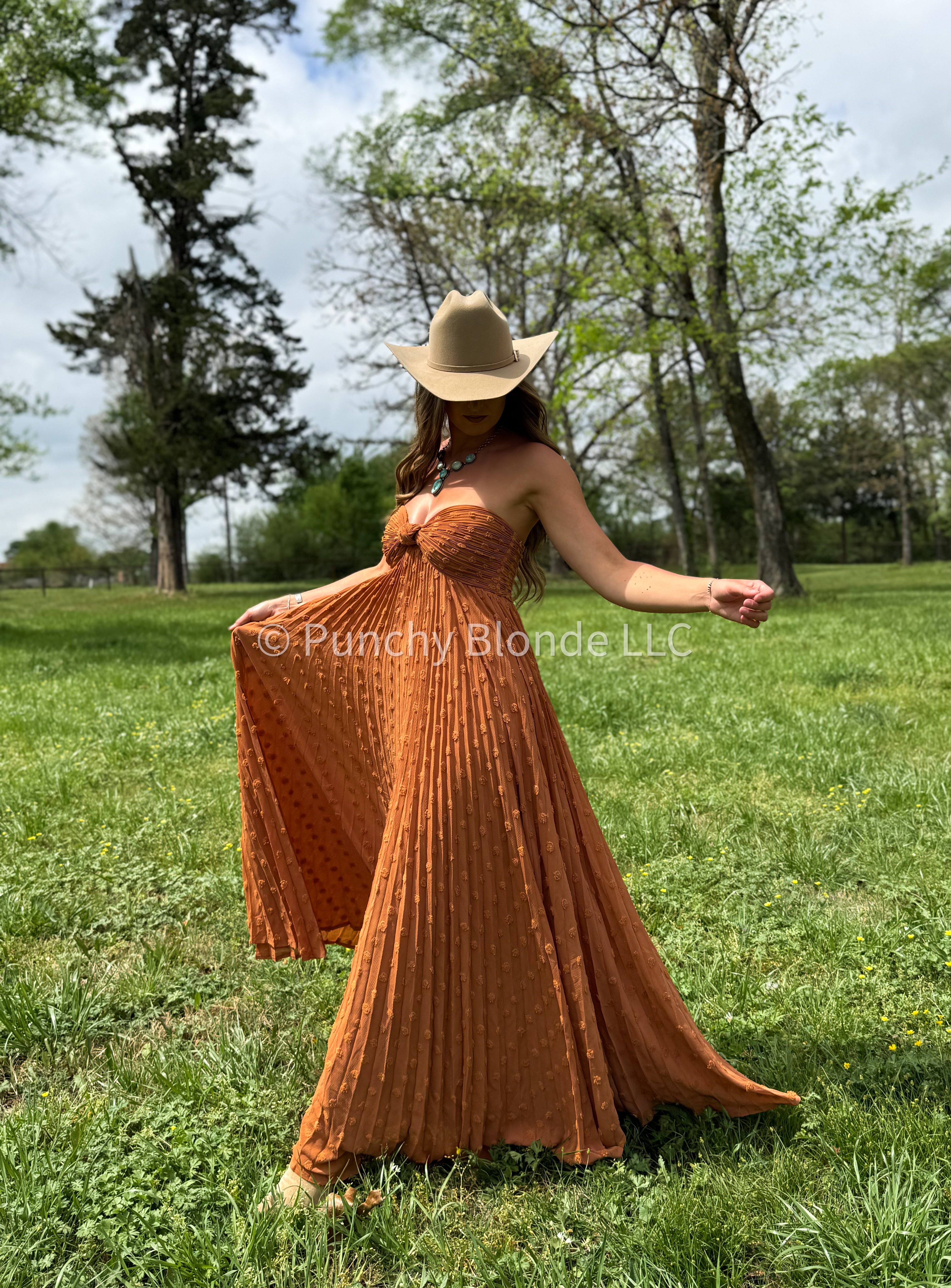 Cherrywood Charm Maxi Dress