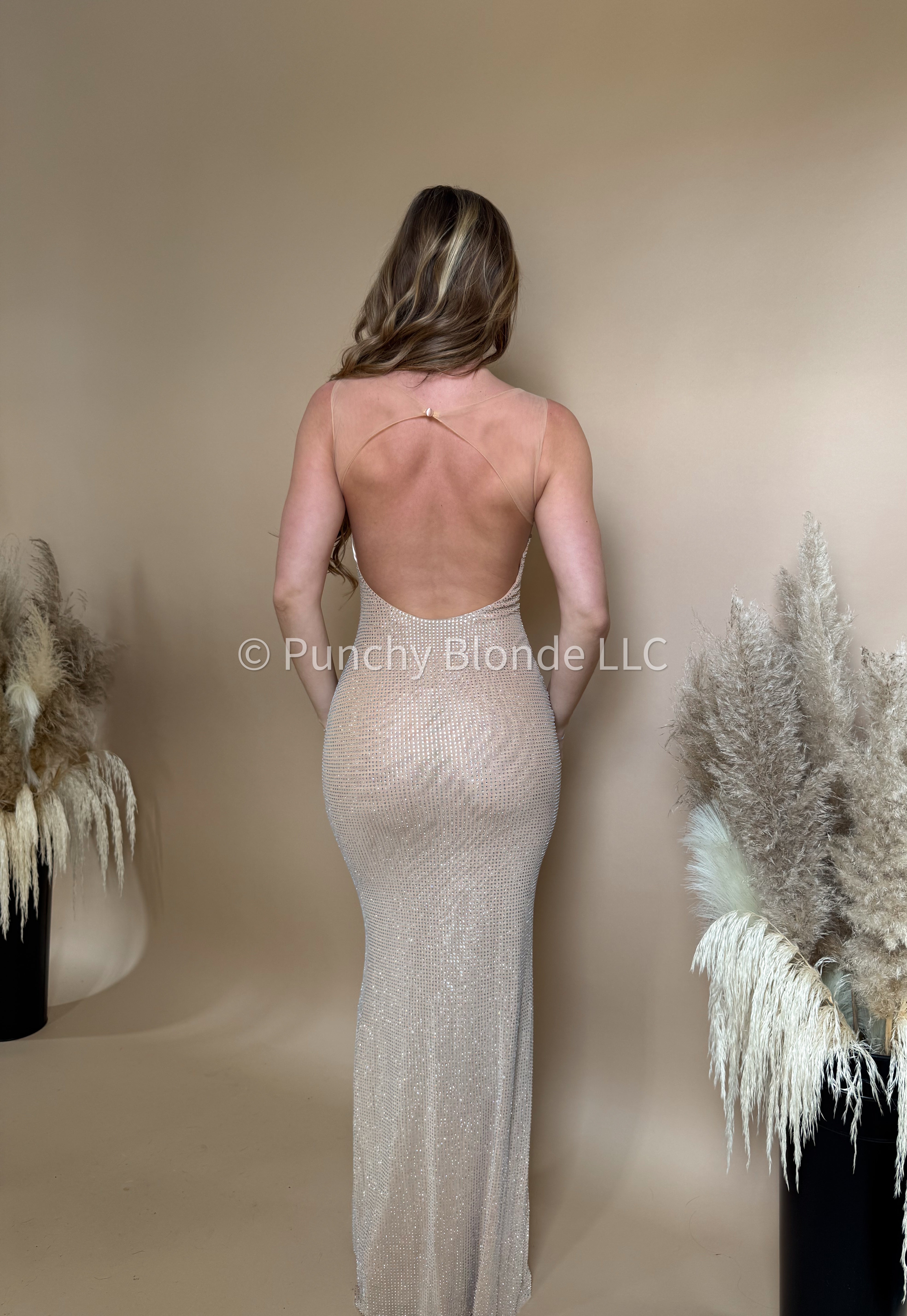 Luminous Nude Rhinestone Dress