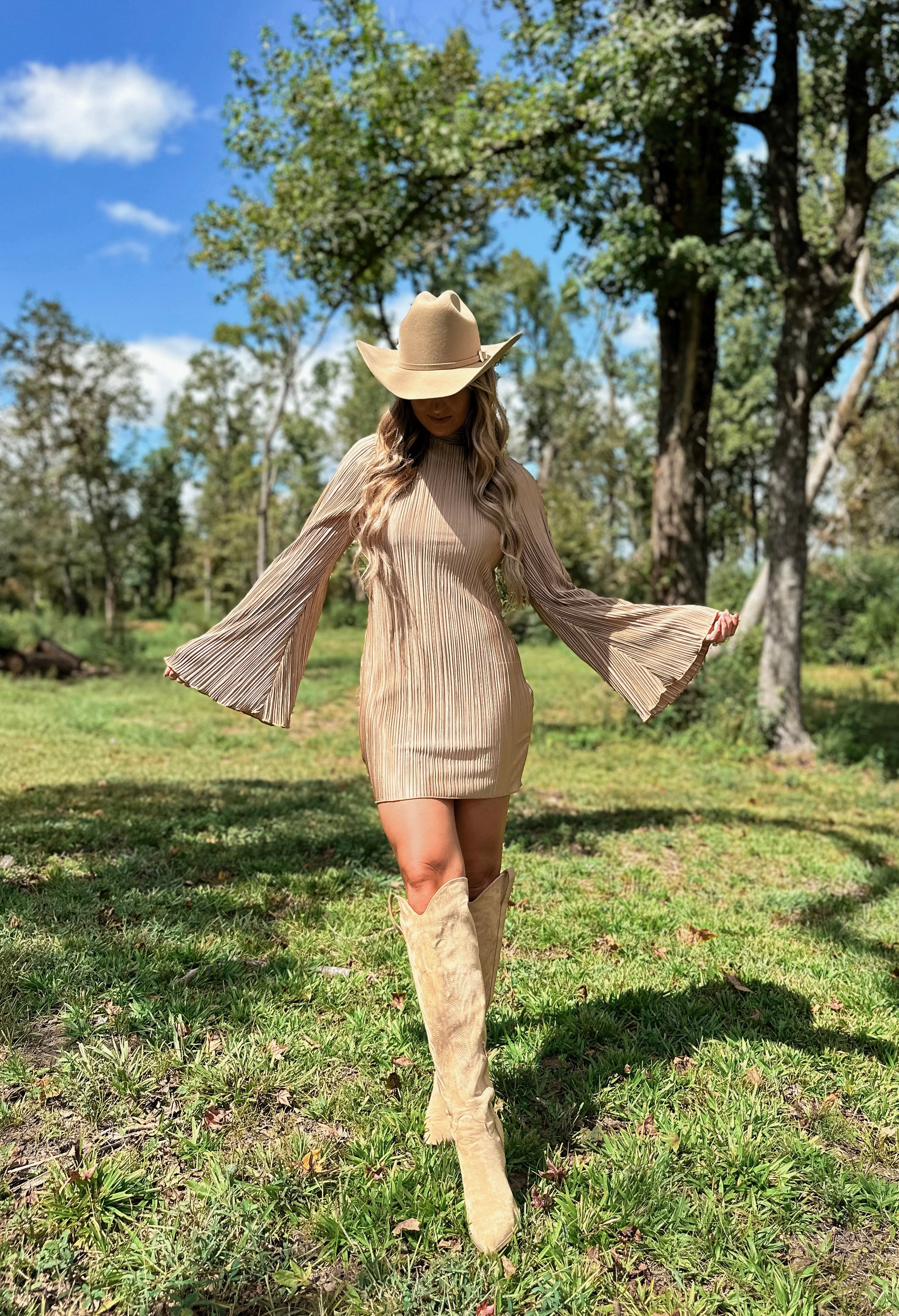 Desert Dreamer Mini Dress