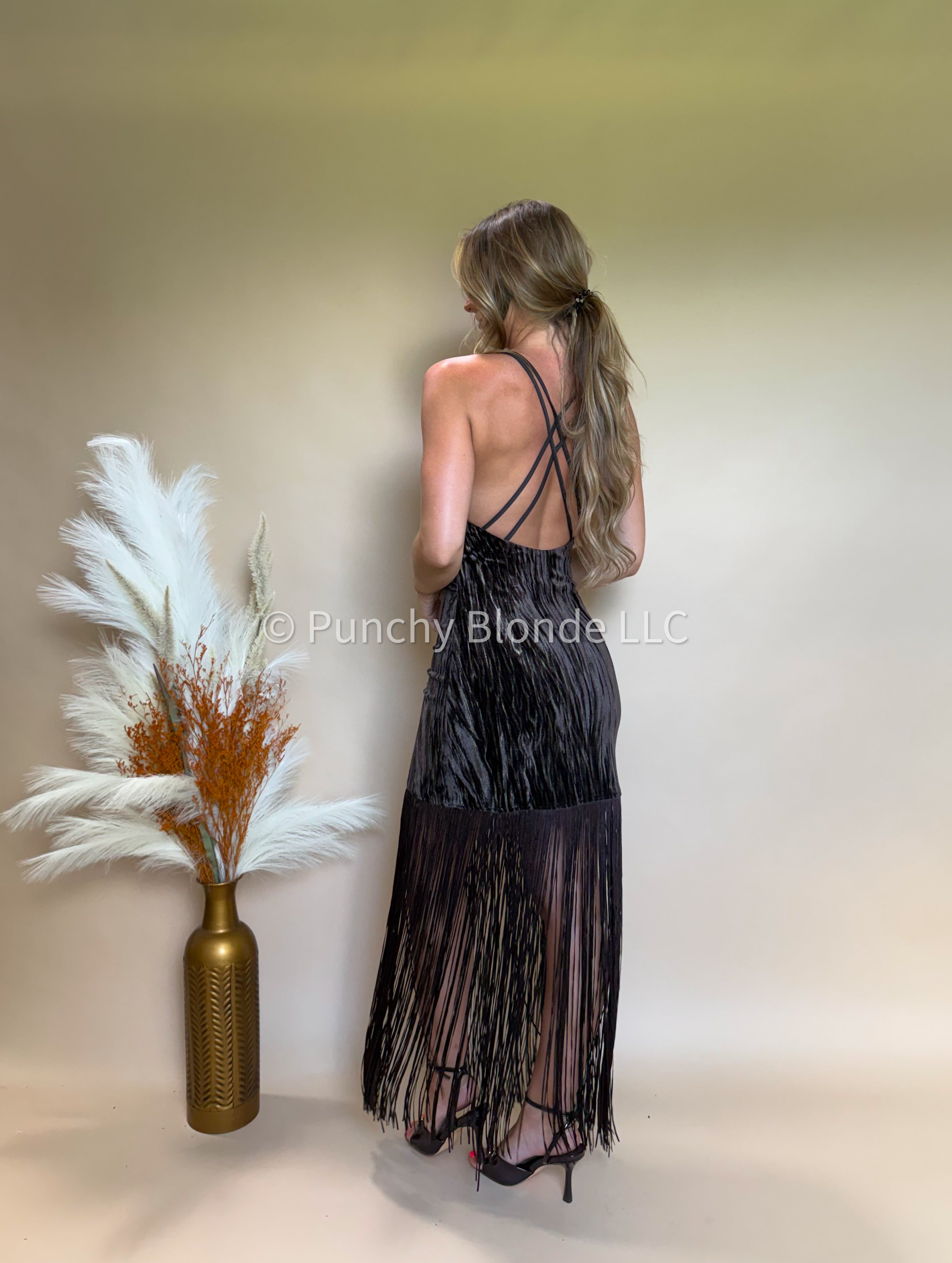 Rustic Luxe Fringe Dress