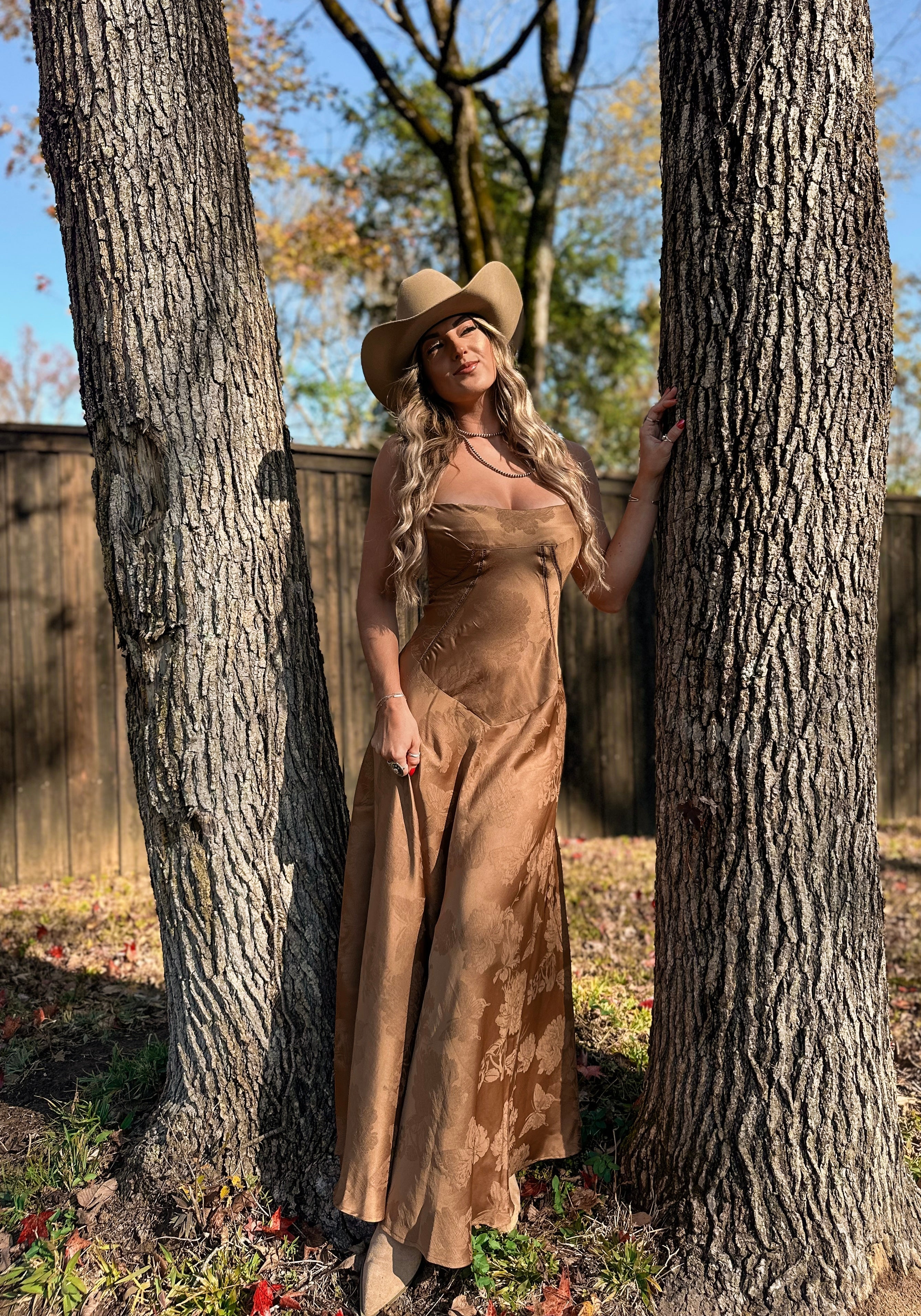 Whiskey Bent Maxi Dress