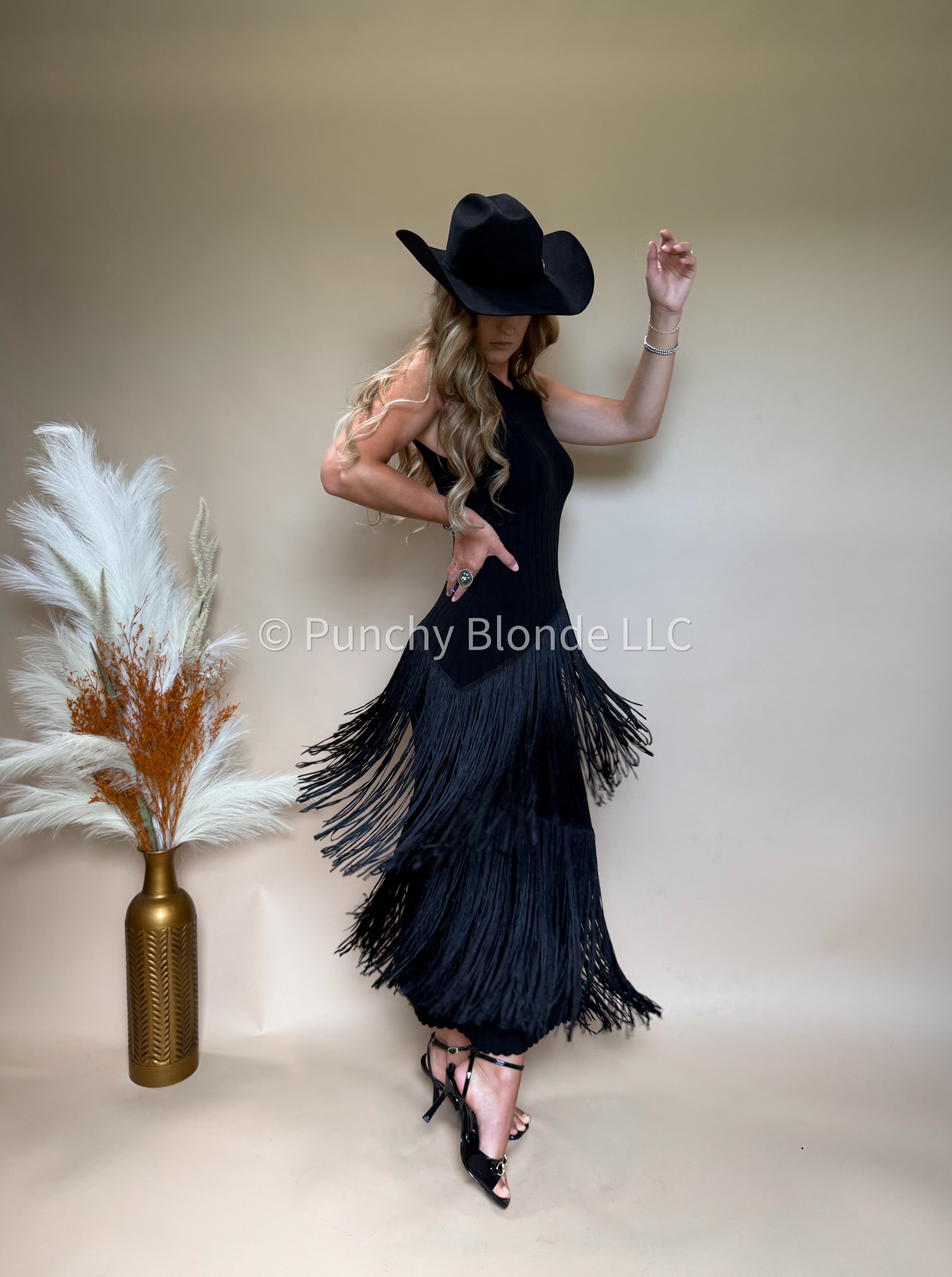 Pre Order Ships June 15th Desert Dancer Maxi Dress