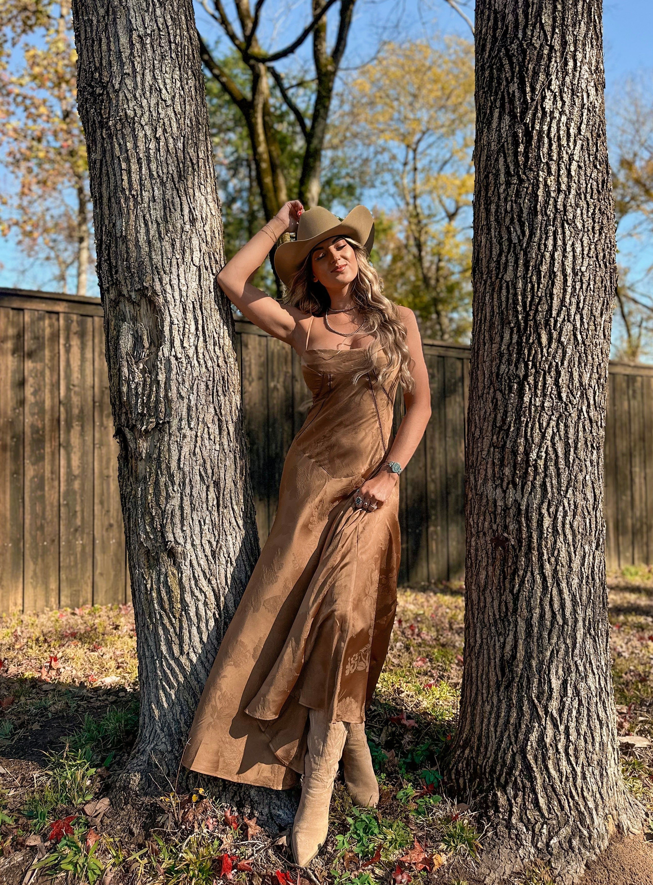 Whiskey Bent Maxi Dress