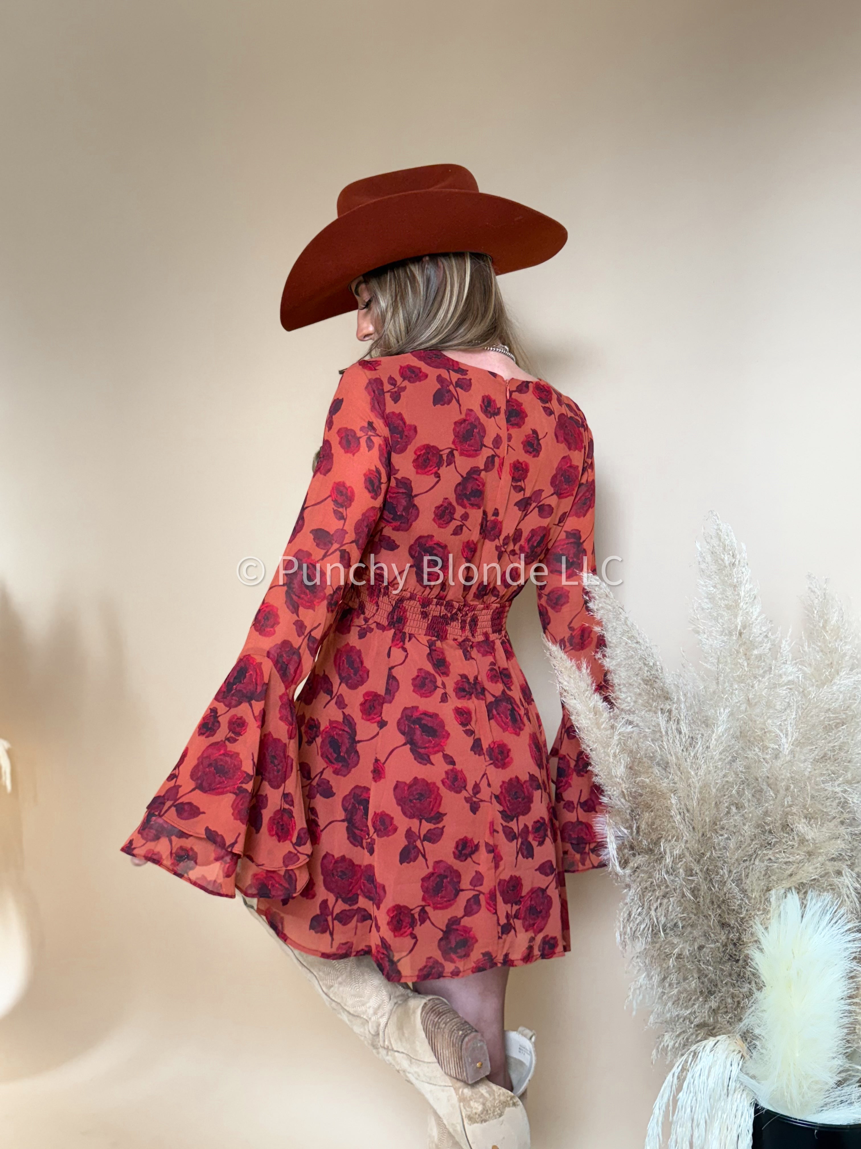 Wild Rose Rouge Mini Dres