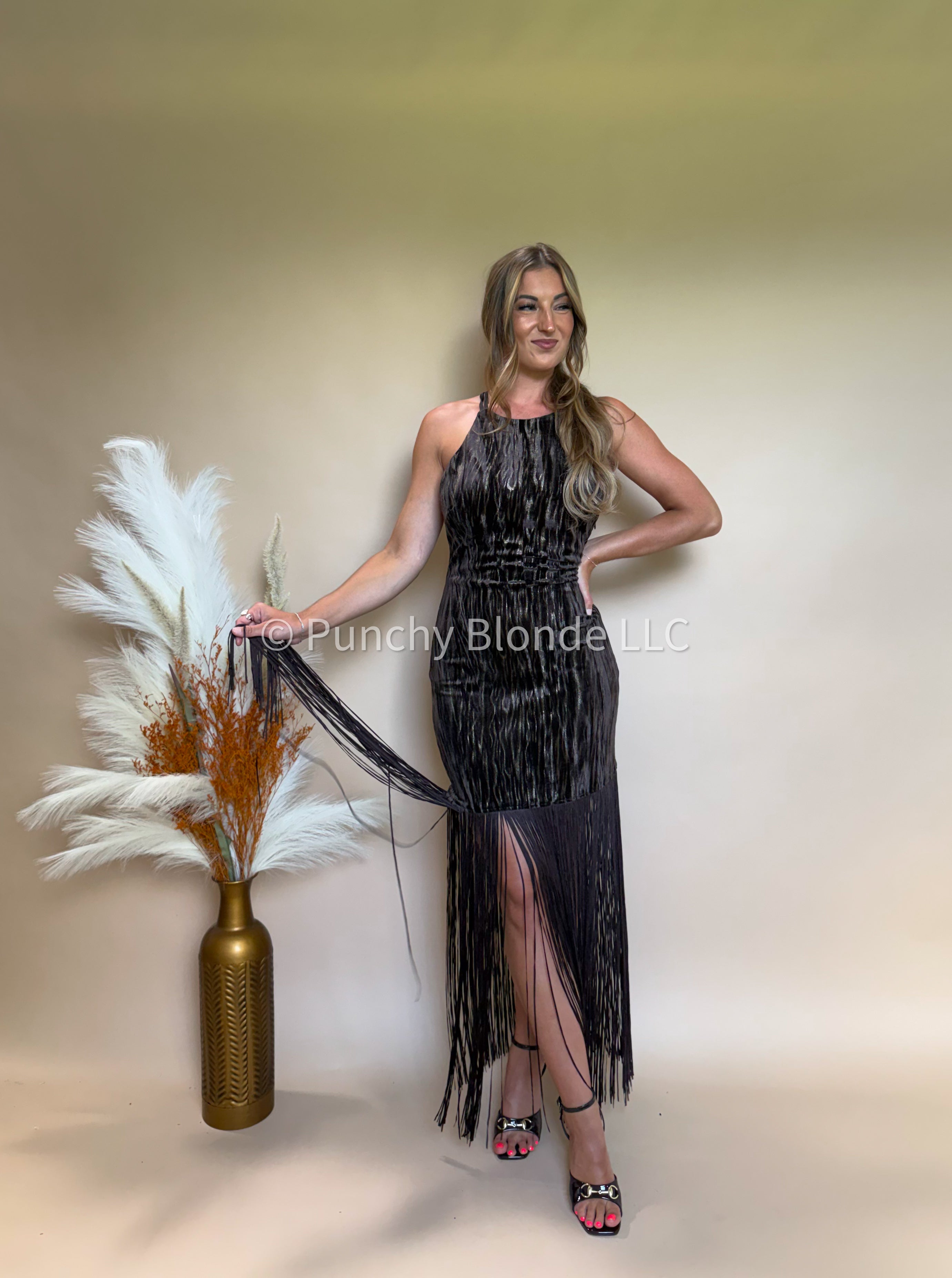 Rustic Luxe Fringe Dress
